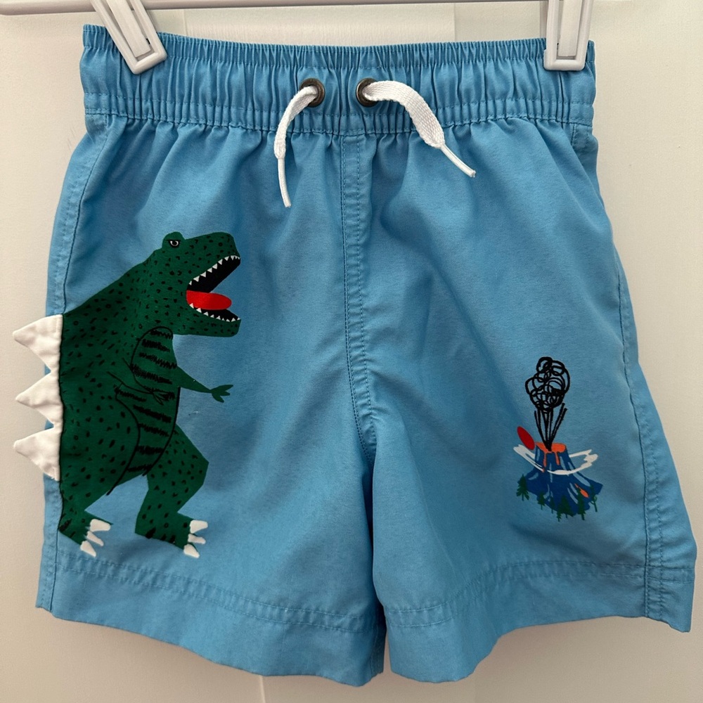 Hanna Andersson Toddler Swim Trunk
